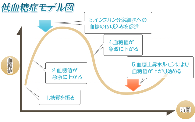 低血糖症モデル図